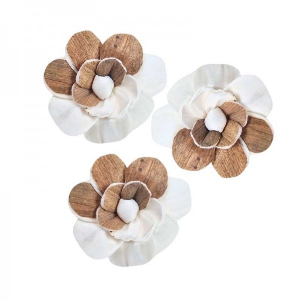 Belo-rjav cvet iz shole - 10 kom